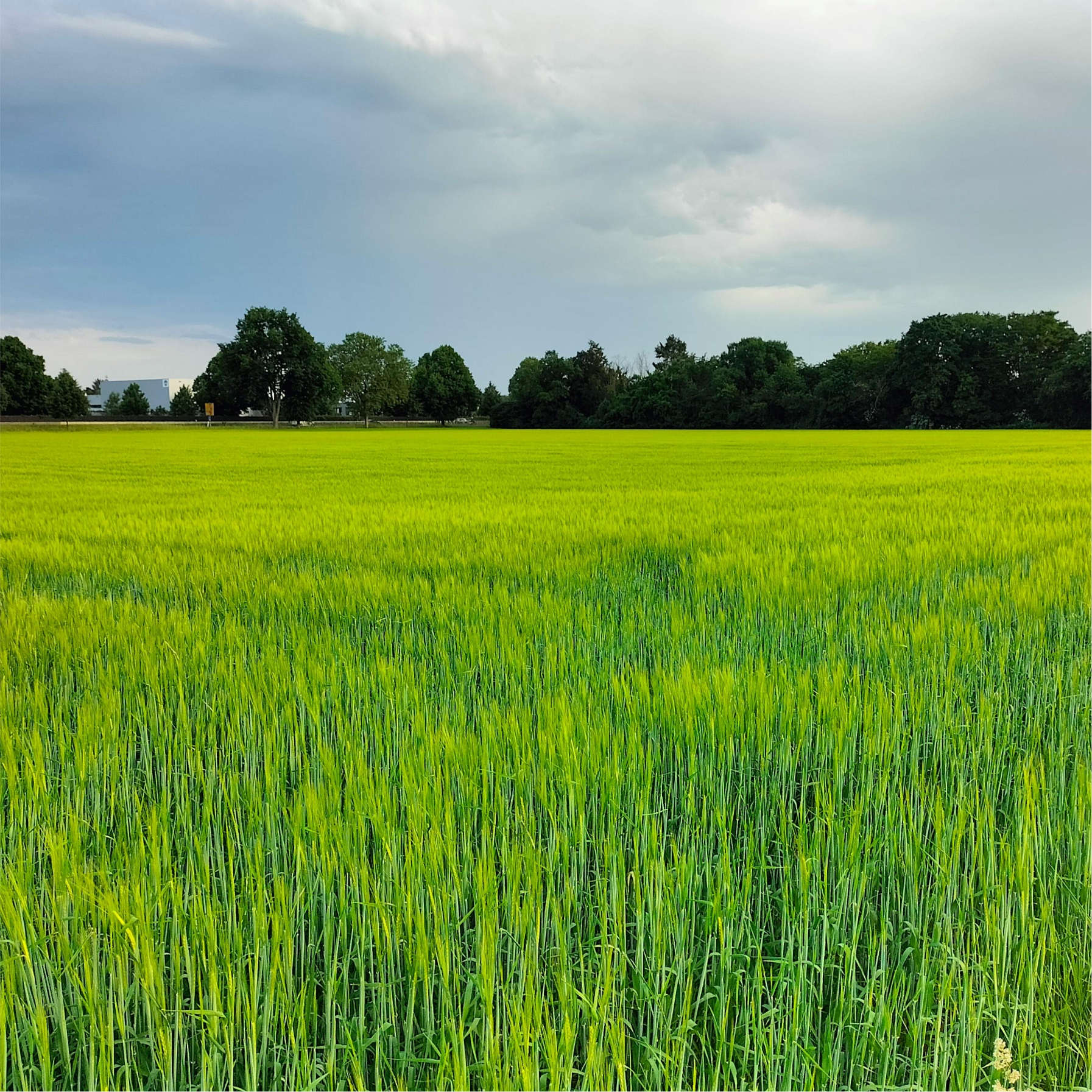 Large Farms & Agricultural Estates